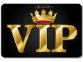 兌換禮品“VIP造價(jià)者”1個(gè)年會(huì)員號(hào)