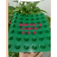 昆明屋頂綠化蓄排水板~排水板廠家歡迎您
